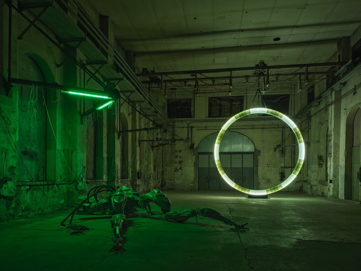 47°24’35’’N / 9°44’20’’E installation view