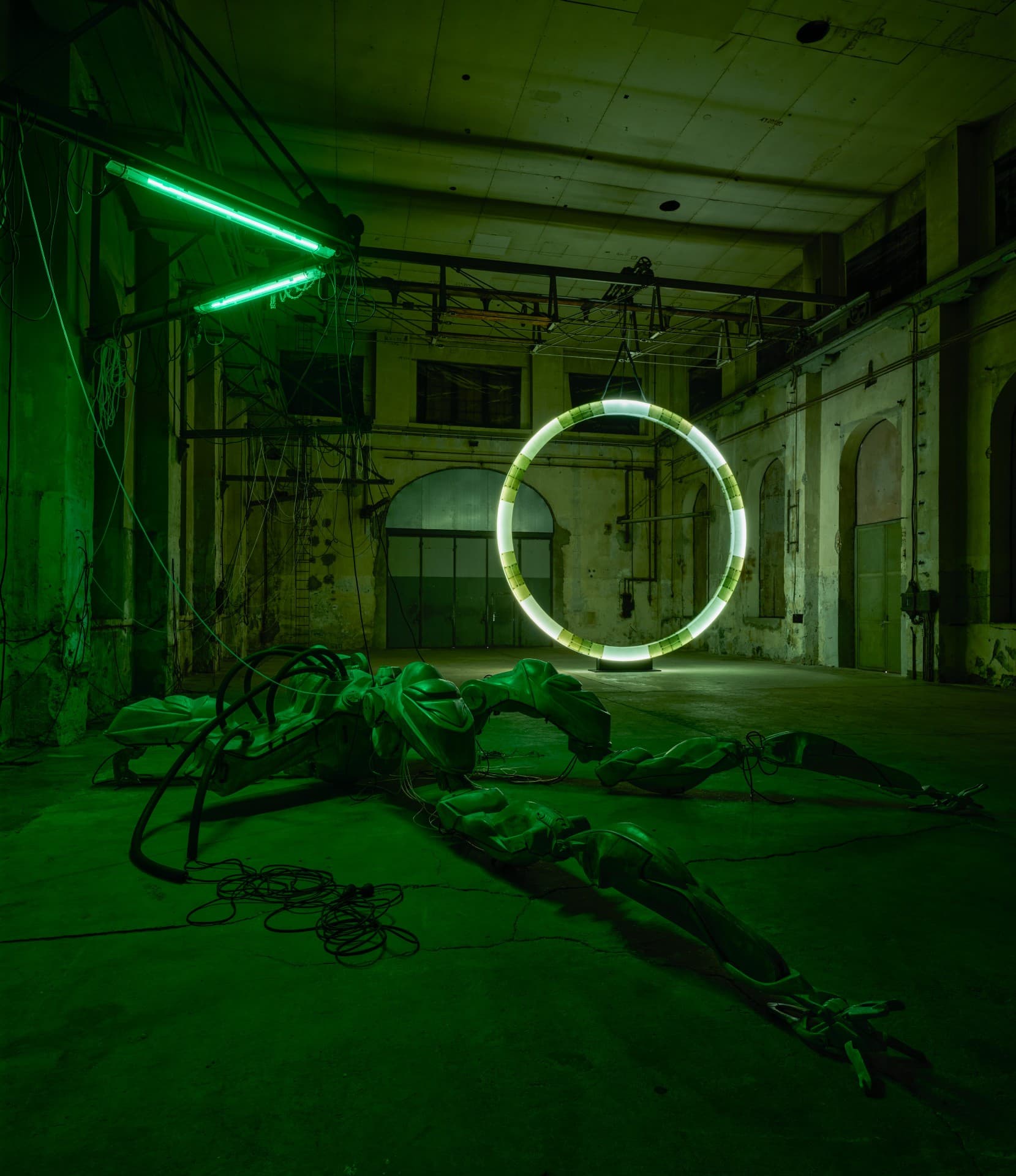 47°24’35’’N / 9°44’20’’E installation view 2