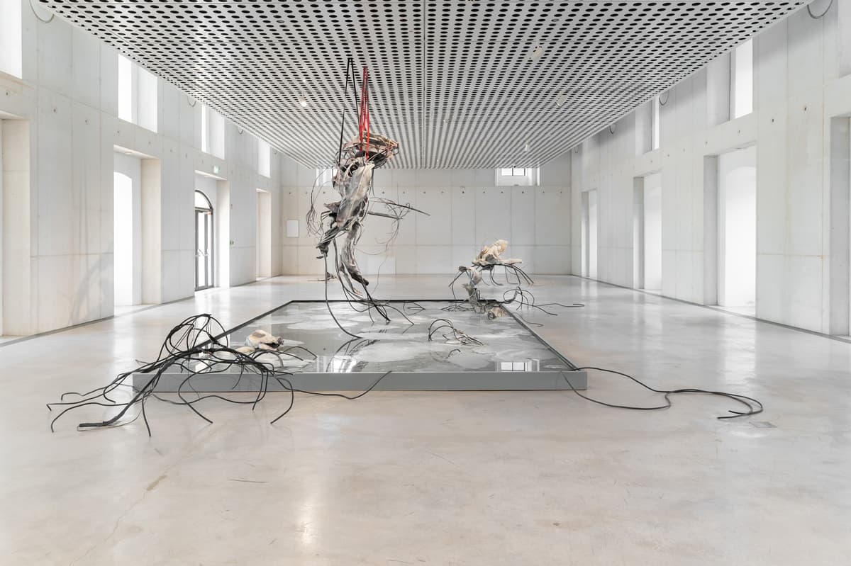 ACCOMPLICE installation view 2