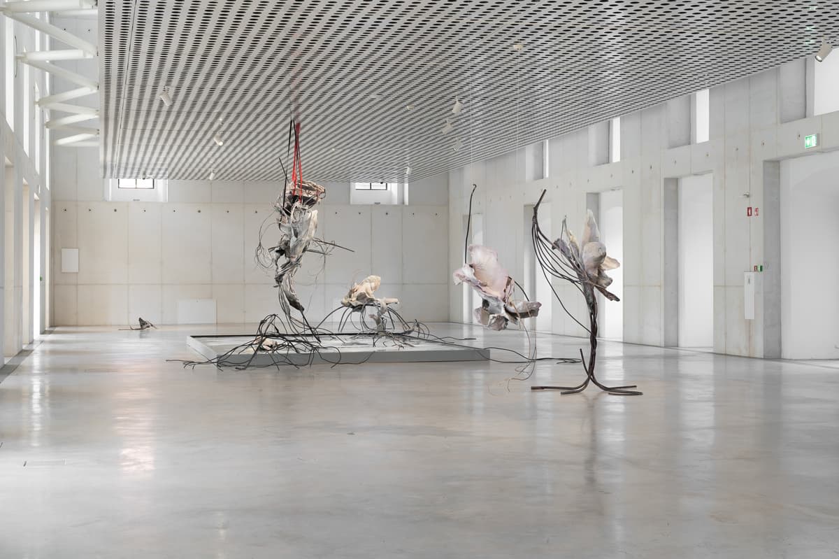 ACCOMPLICE installation view 4