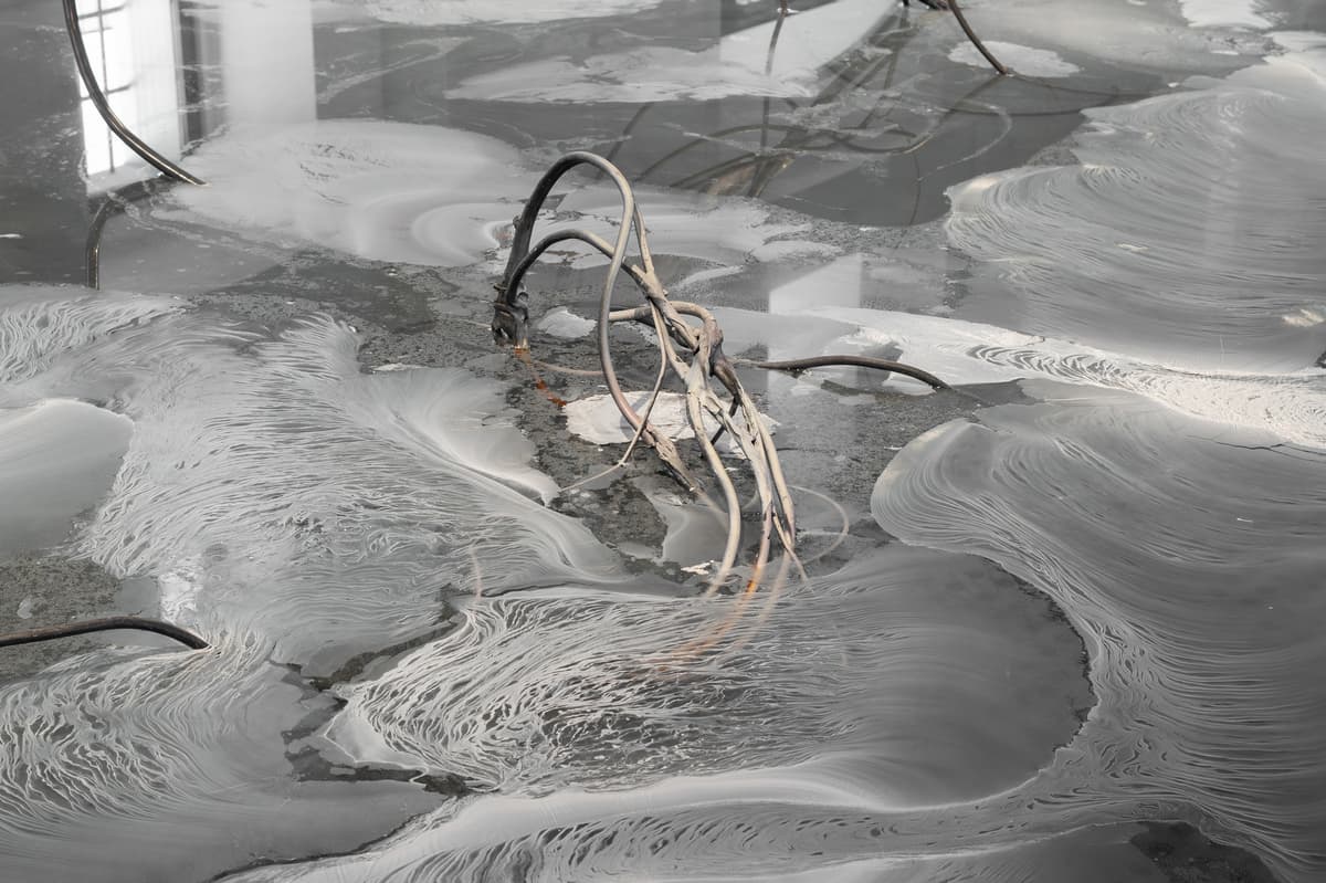 ACCOMPLICE installation view 5