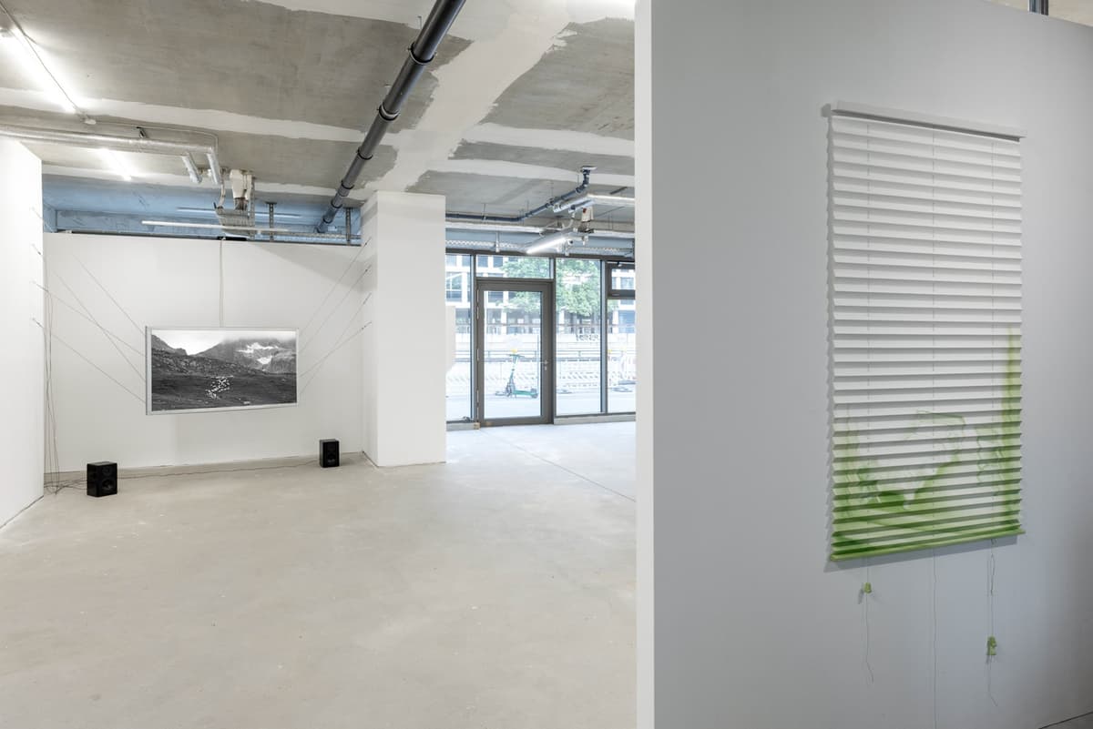 Caged movements installation view 5