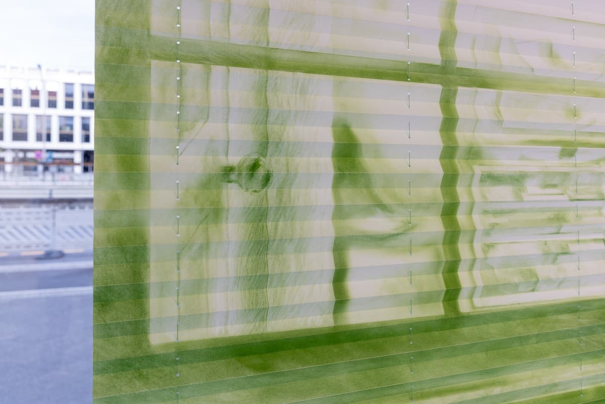 Caged movements installation view 8