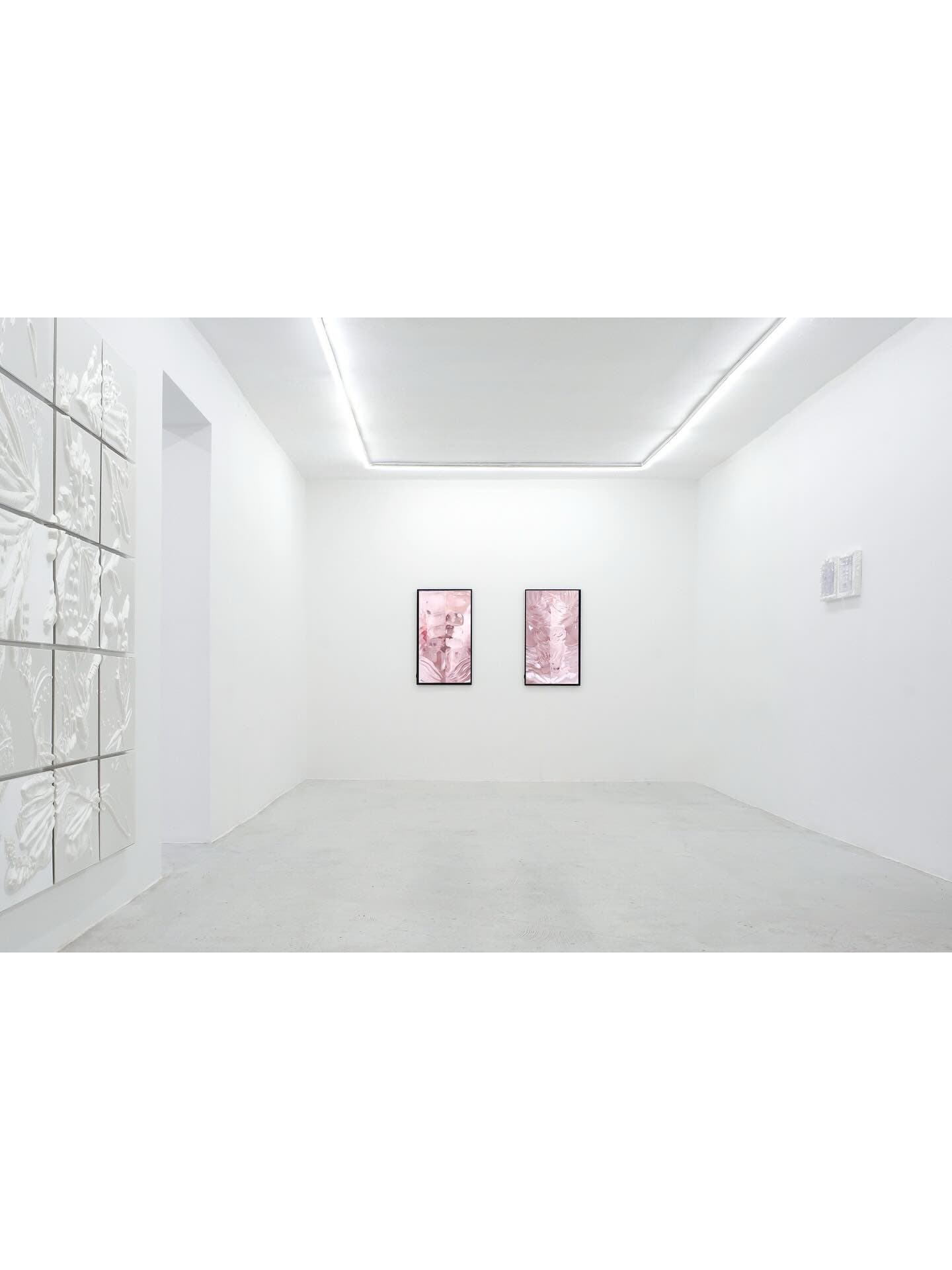 DESIRING MACHINES installation view 5