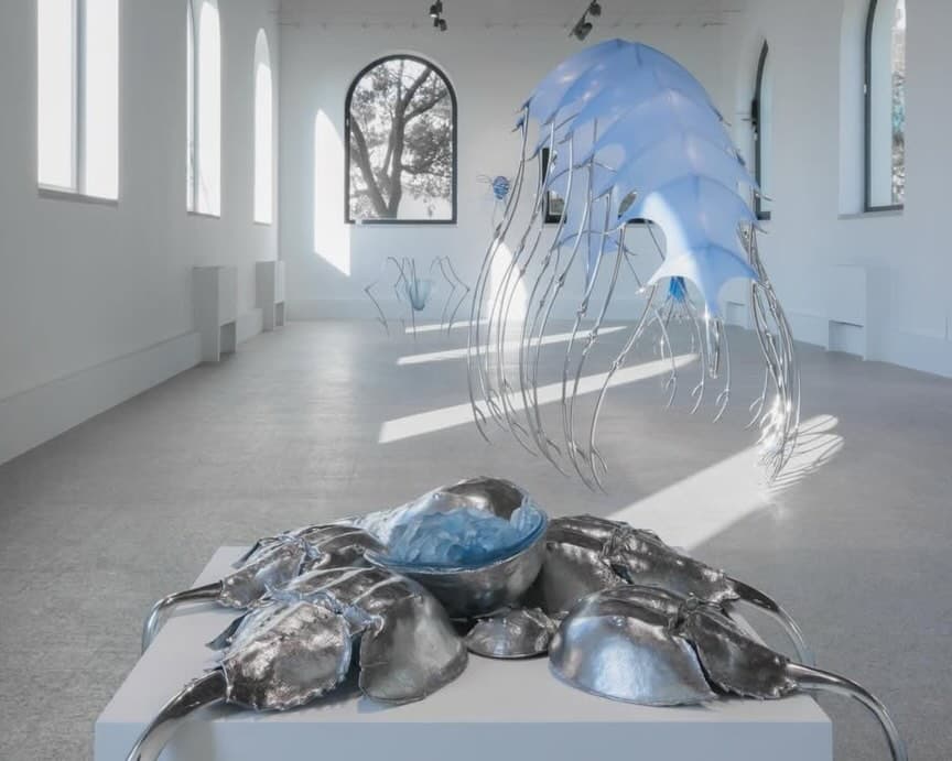 BLUE BLOODED installation view 5