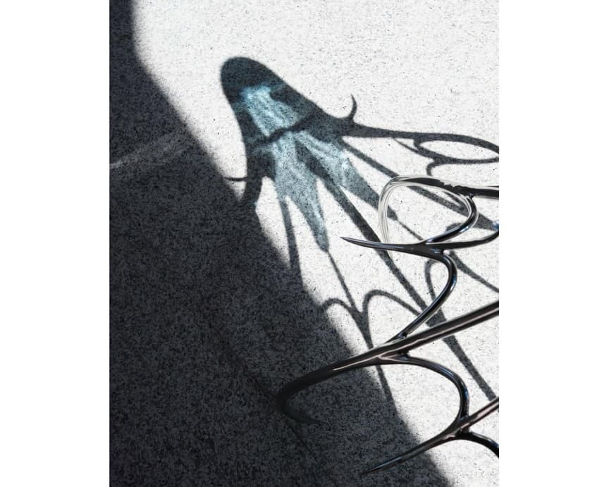 BLUE BLOODED installation view 7