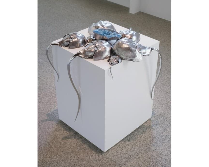 BLUE BLOODED installation view 12
