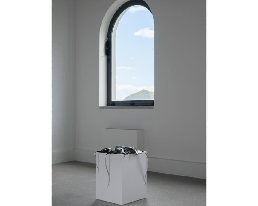 BLUE BLOODED installation view 17