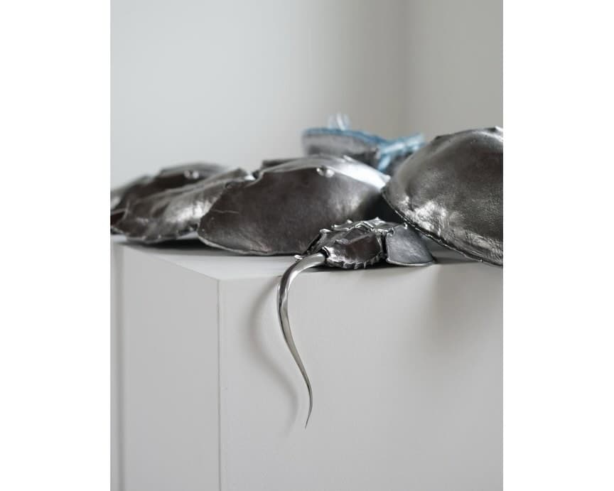 BLUE BLOODED installation view 18