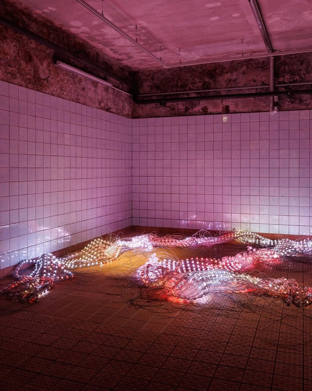 HUMAN IS installation view 10