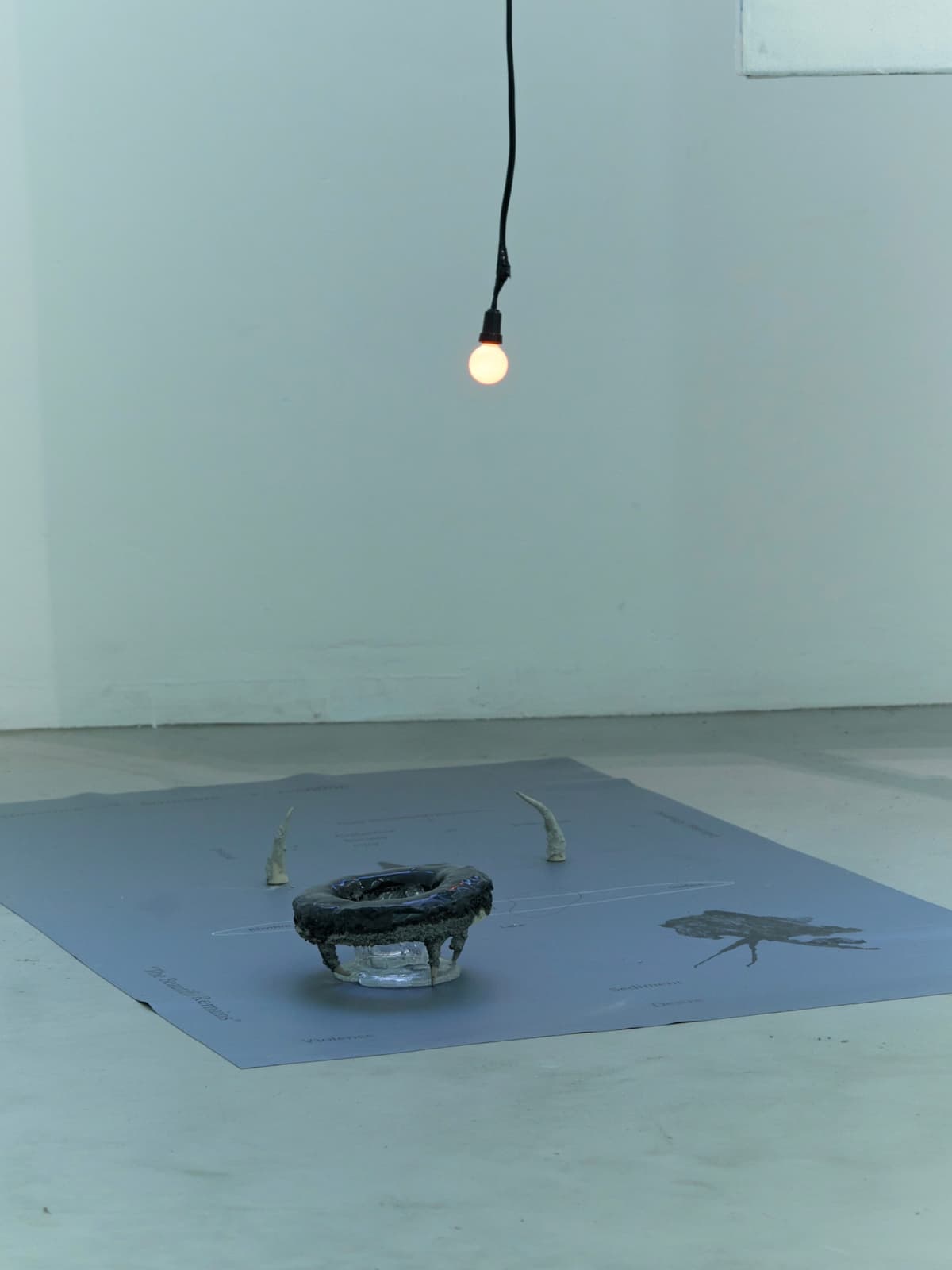 THE BEAUTIFUL REMAINS installation view 4