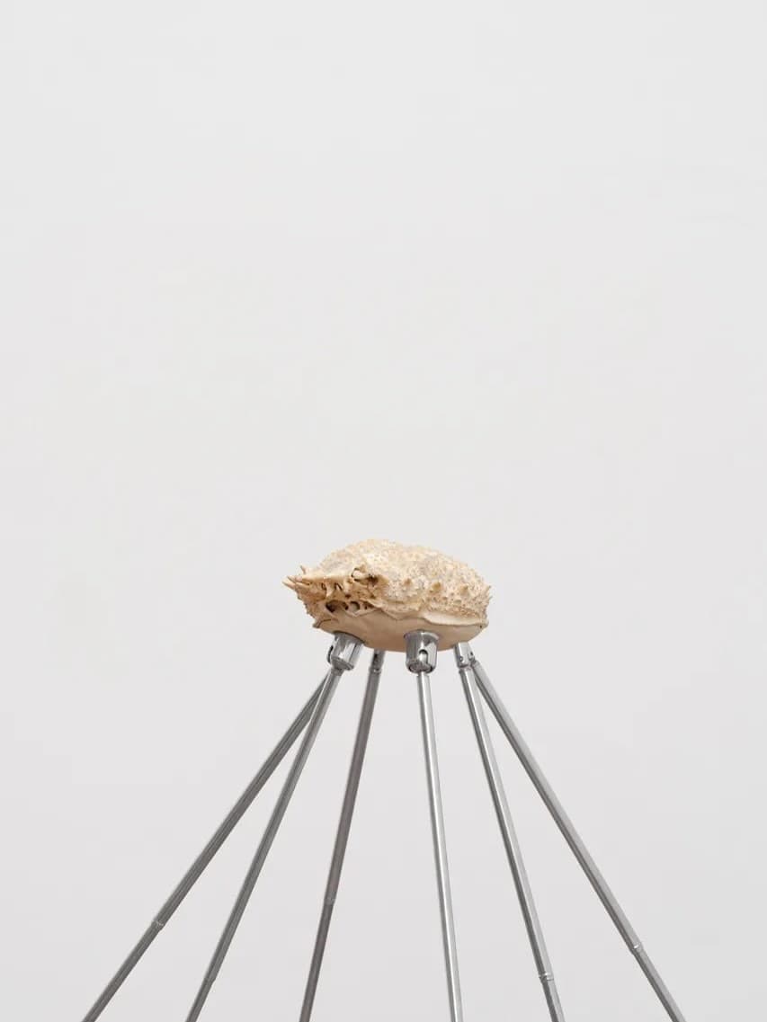 THE SIGNAL. THE NOICE (GROUP EXHIBITION) installation view 12