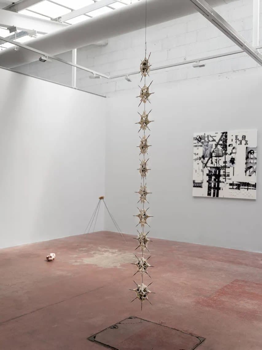 THE SIGNAL. THE NOICE installation view 3