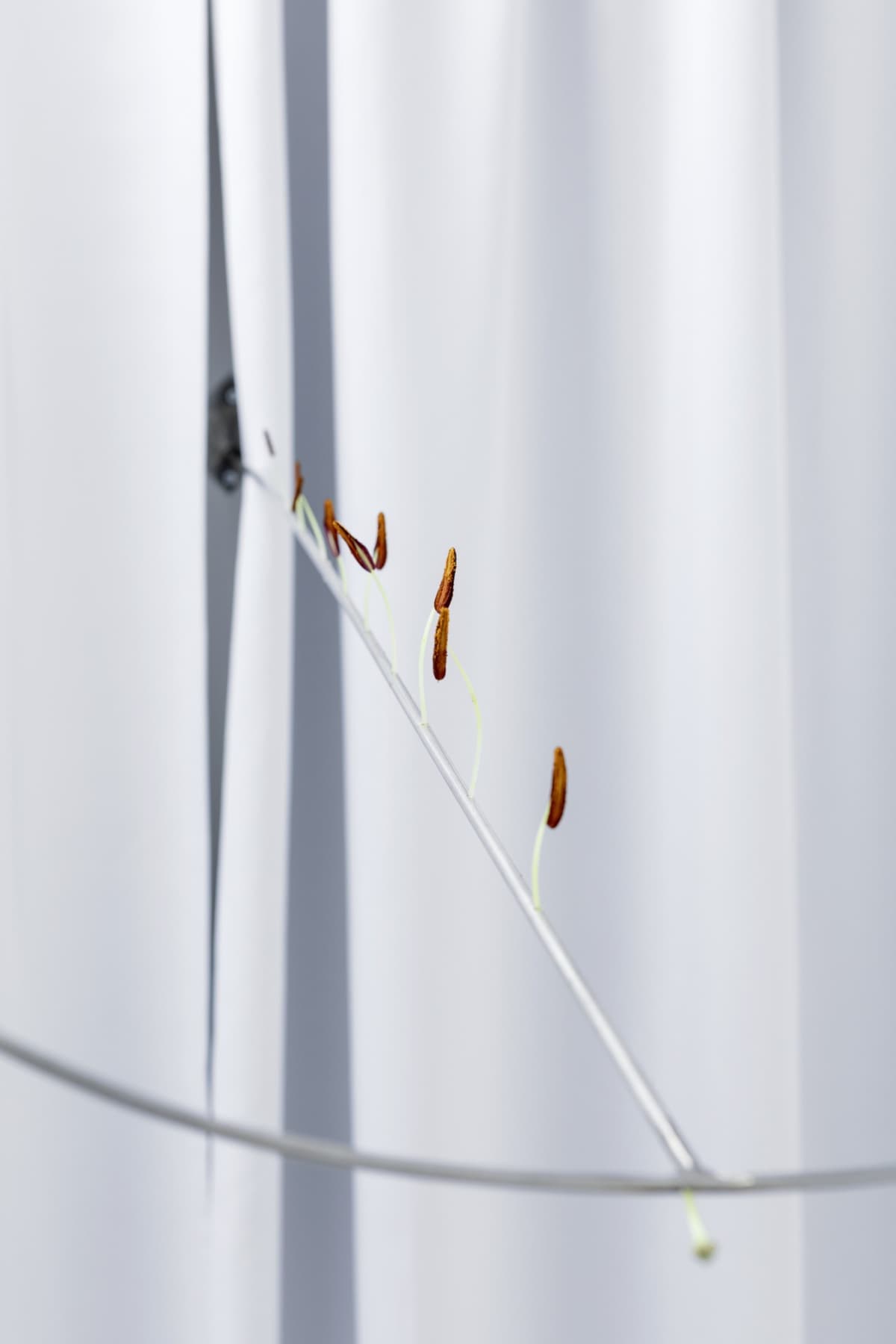 Territories of Extraction installation view 19