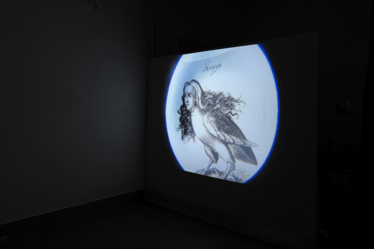 Territories of Extraction installation view 21