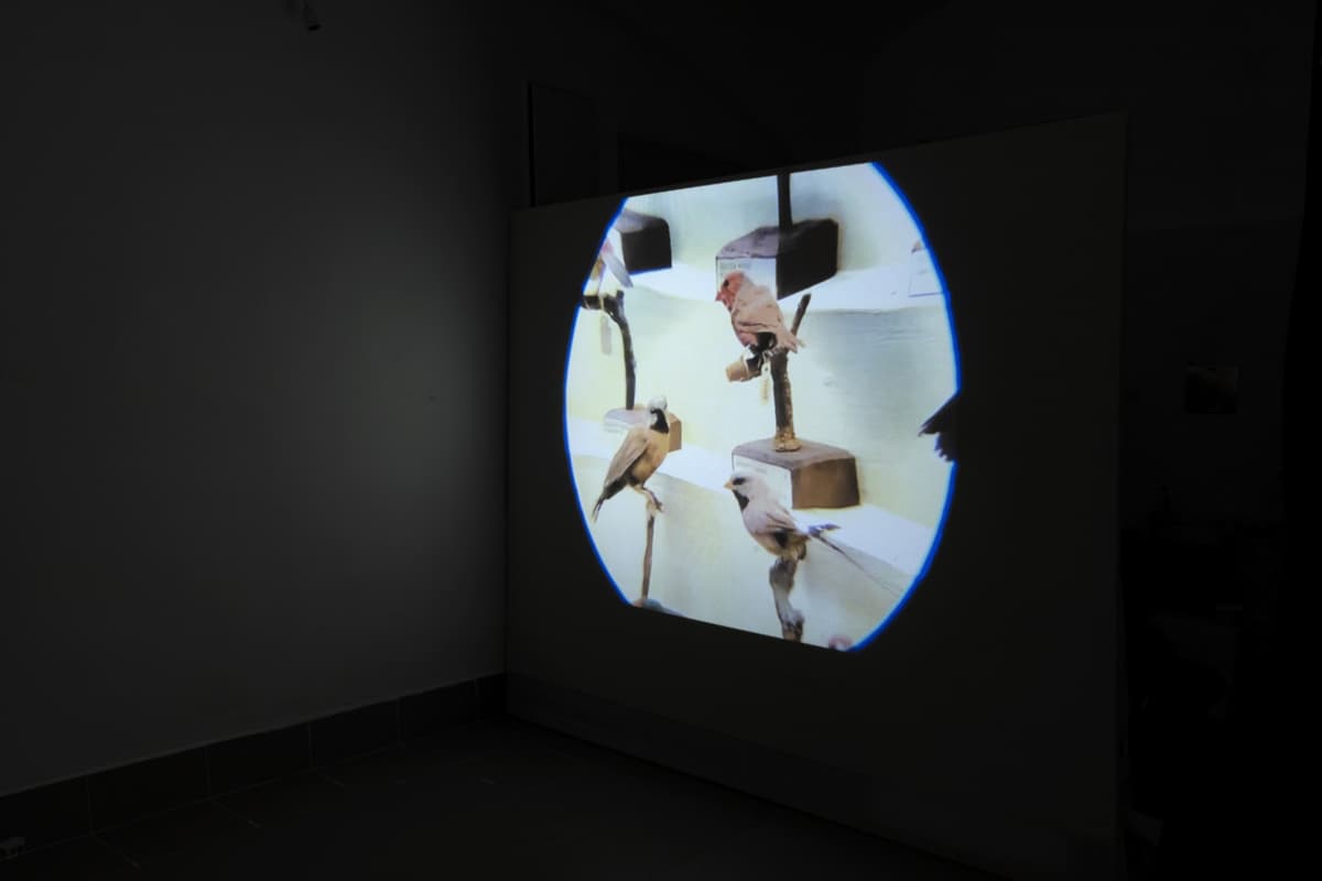 Territories of Extraction installation view 22