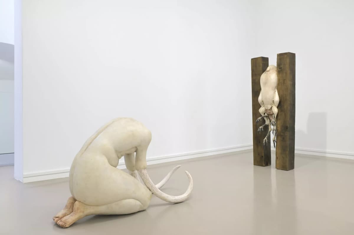 WHO COMPOSES THE SONG OF THE CRICKETS? installation view 2