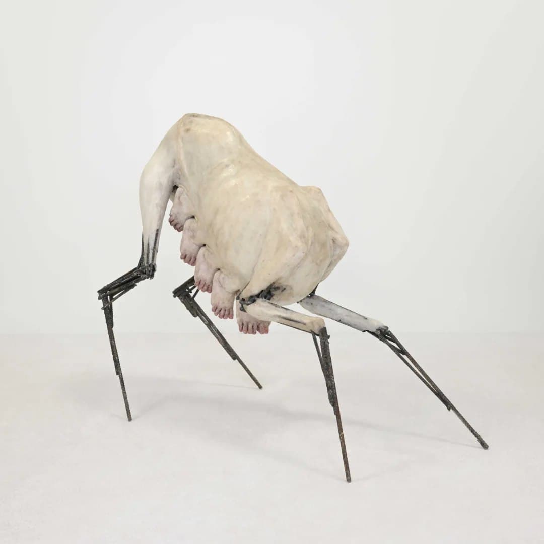 WHO COMPOSES THE SONG OF THE CRICKETS? installation view 4
