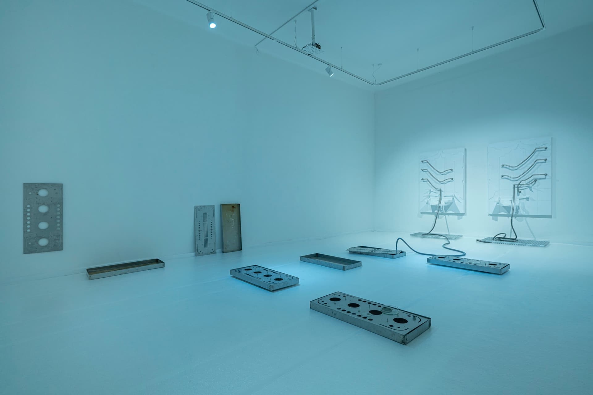 Begone Estrone exhibition view