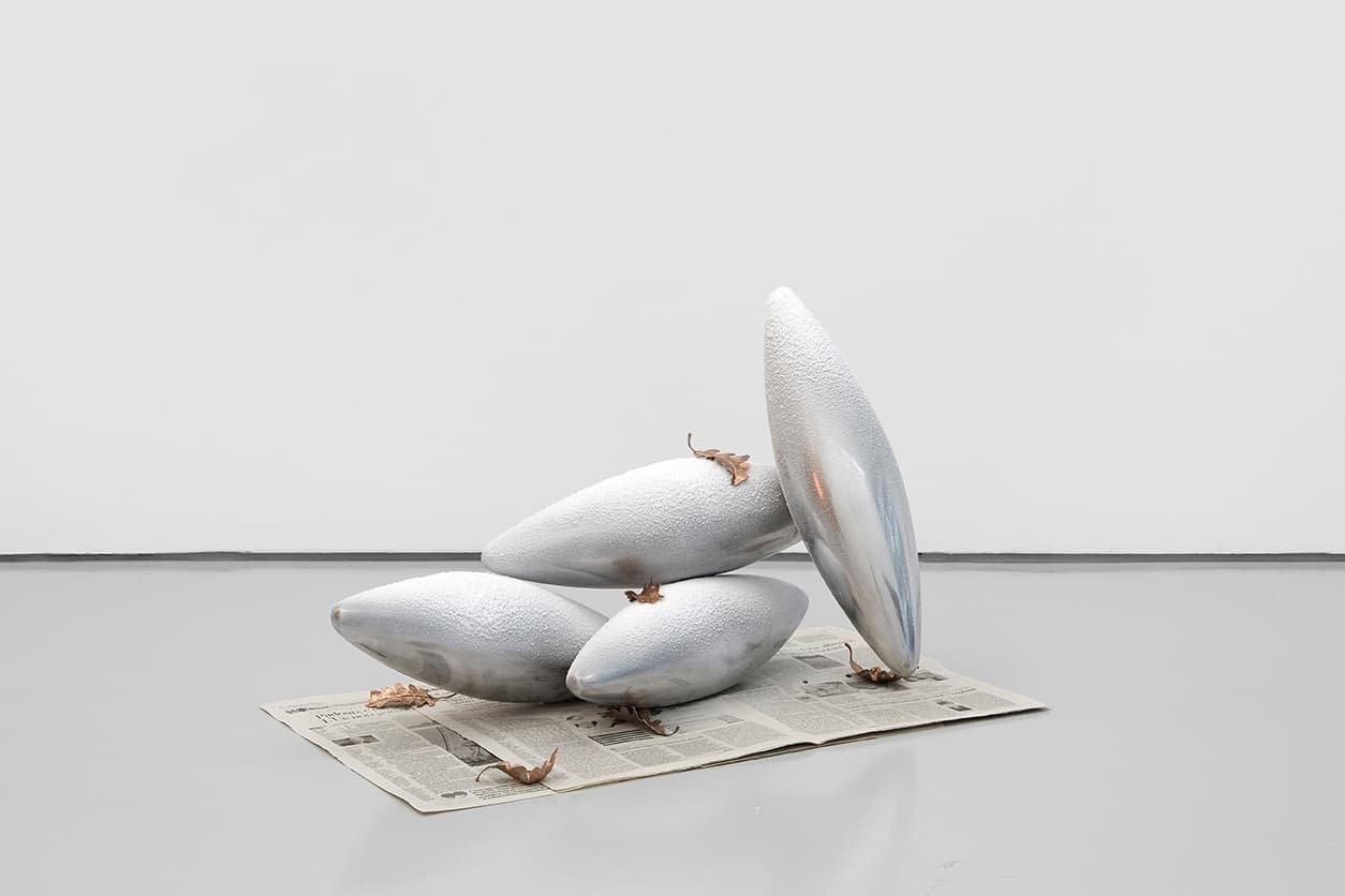 Choice Dirt installation view 21