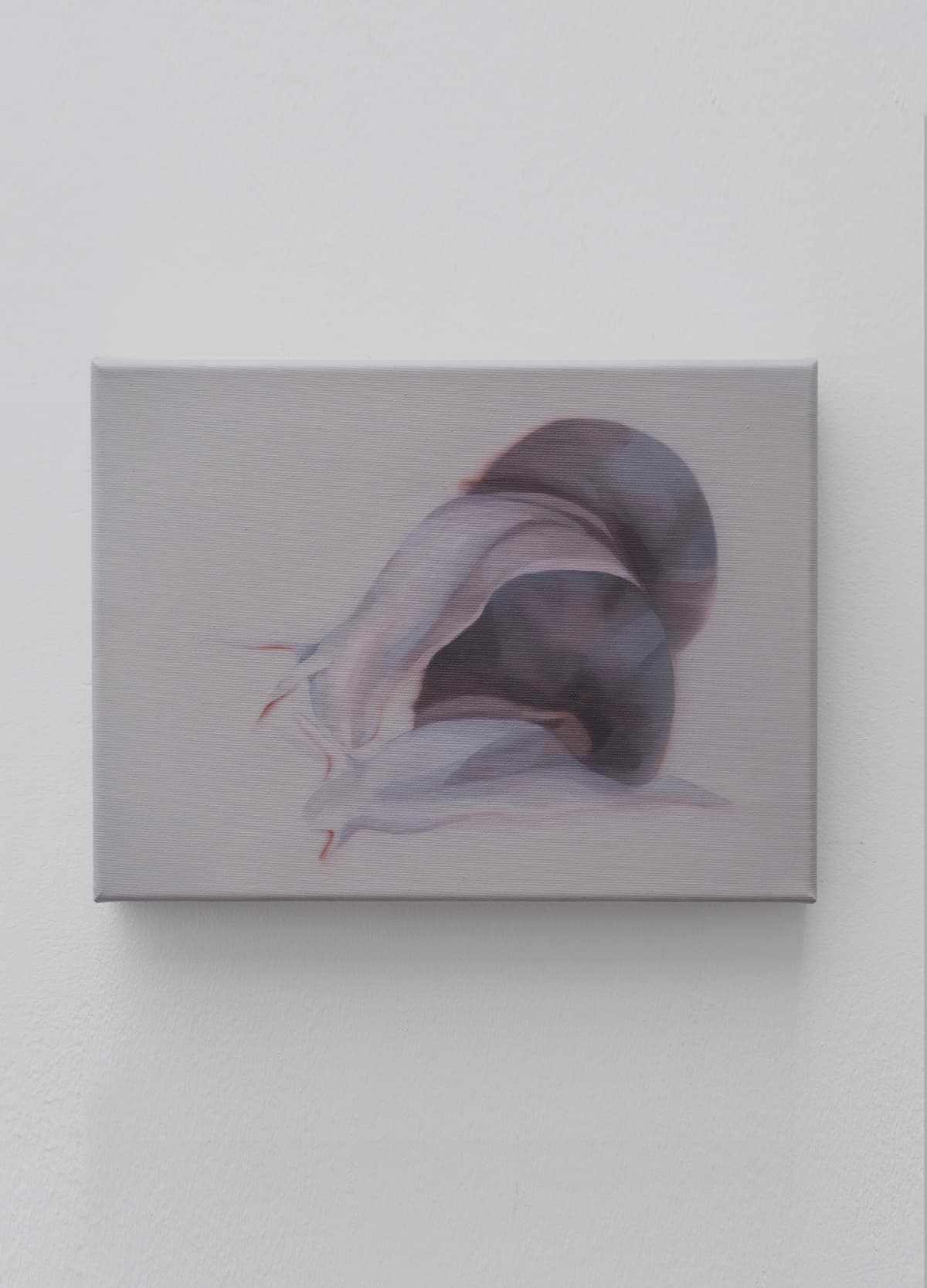 Main de fer, gant de velours installation view 16