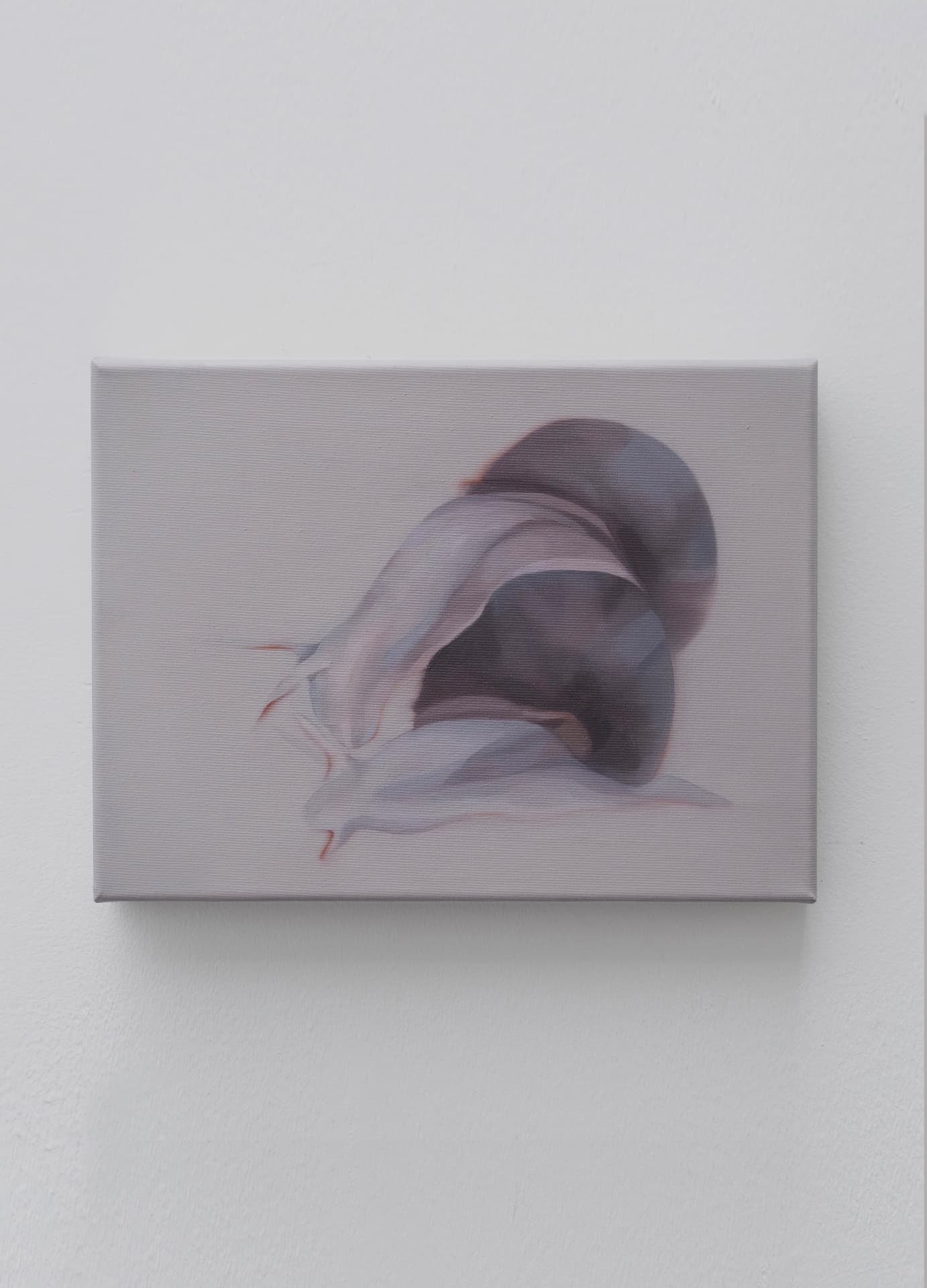 Main de fer, gant de velours installation view 16