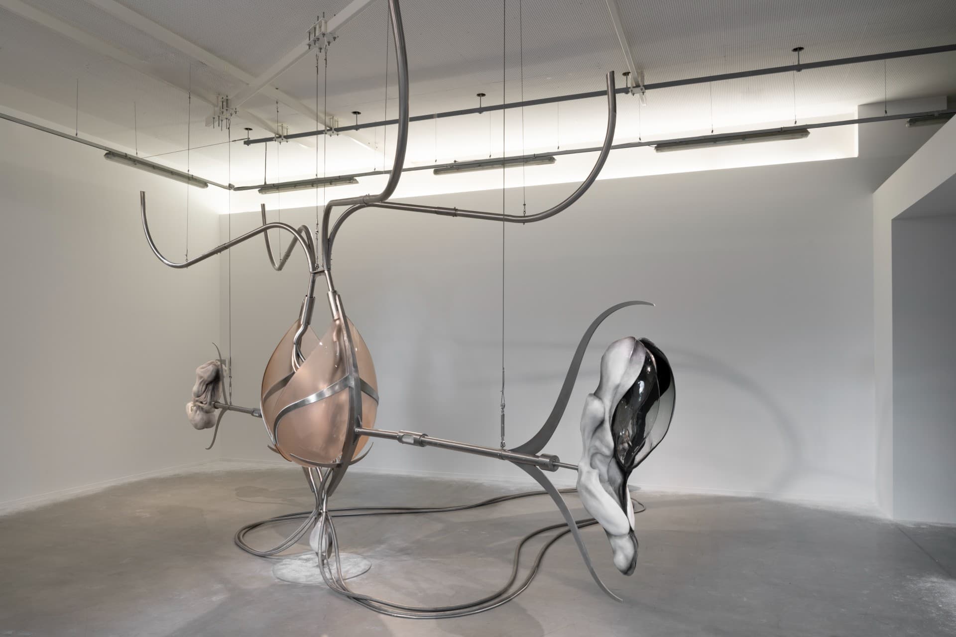 Metempsychosis exhibition view