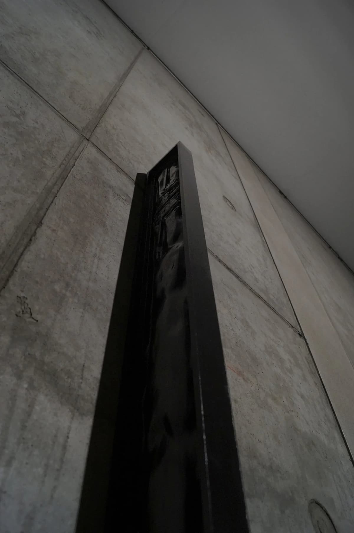The Solemnity of the Repulsive installation view 2