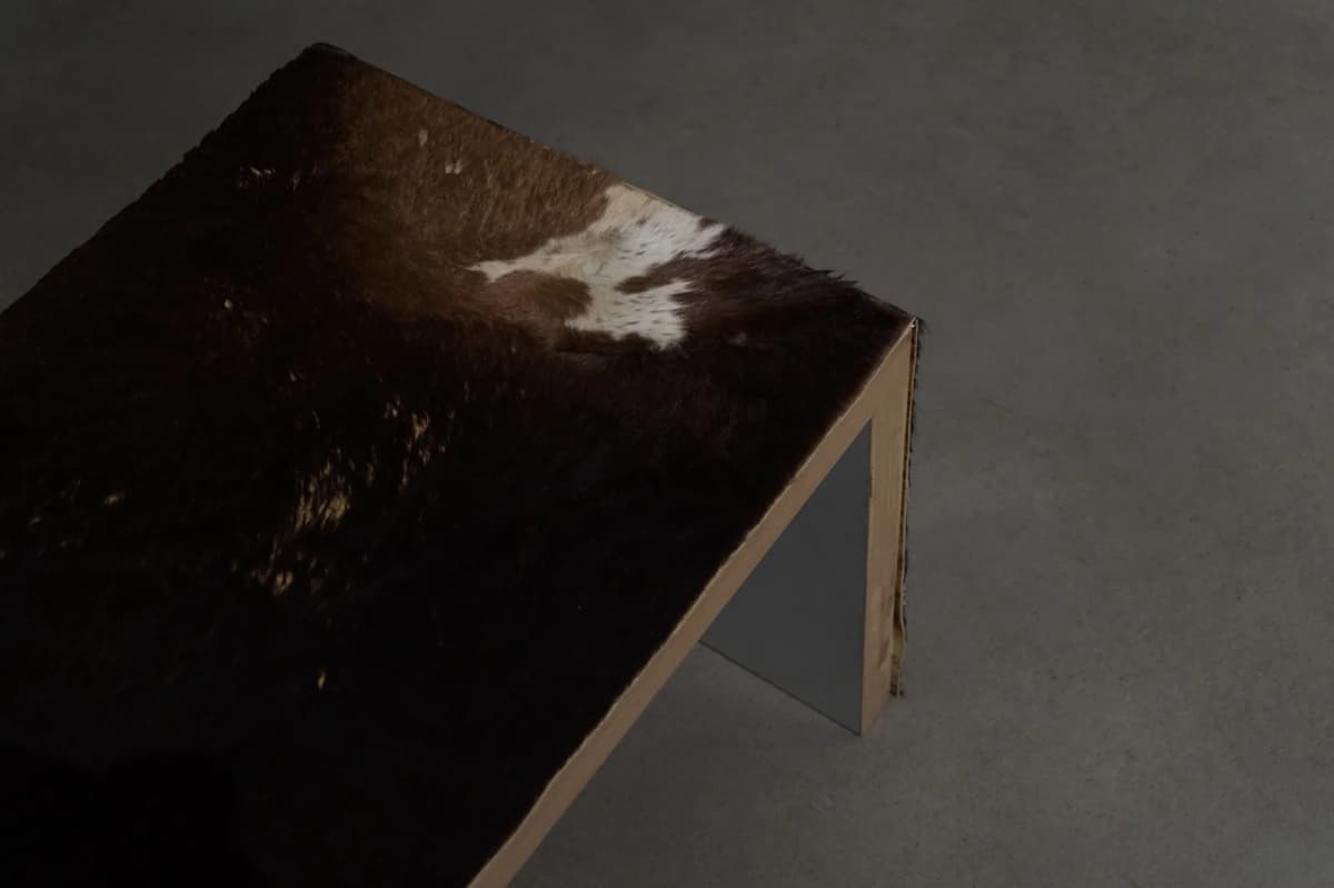 The Solemnity of the Repulsive installation view 3