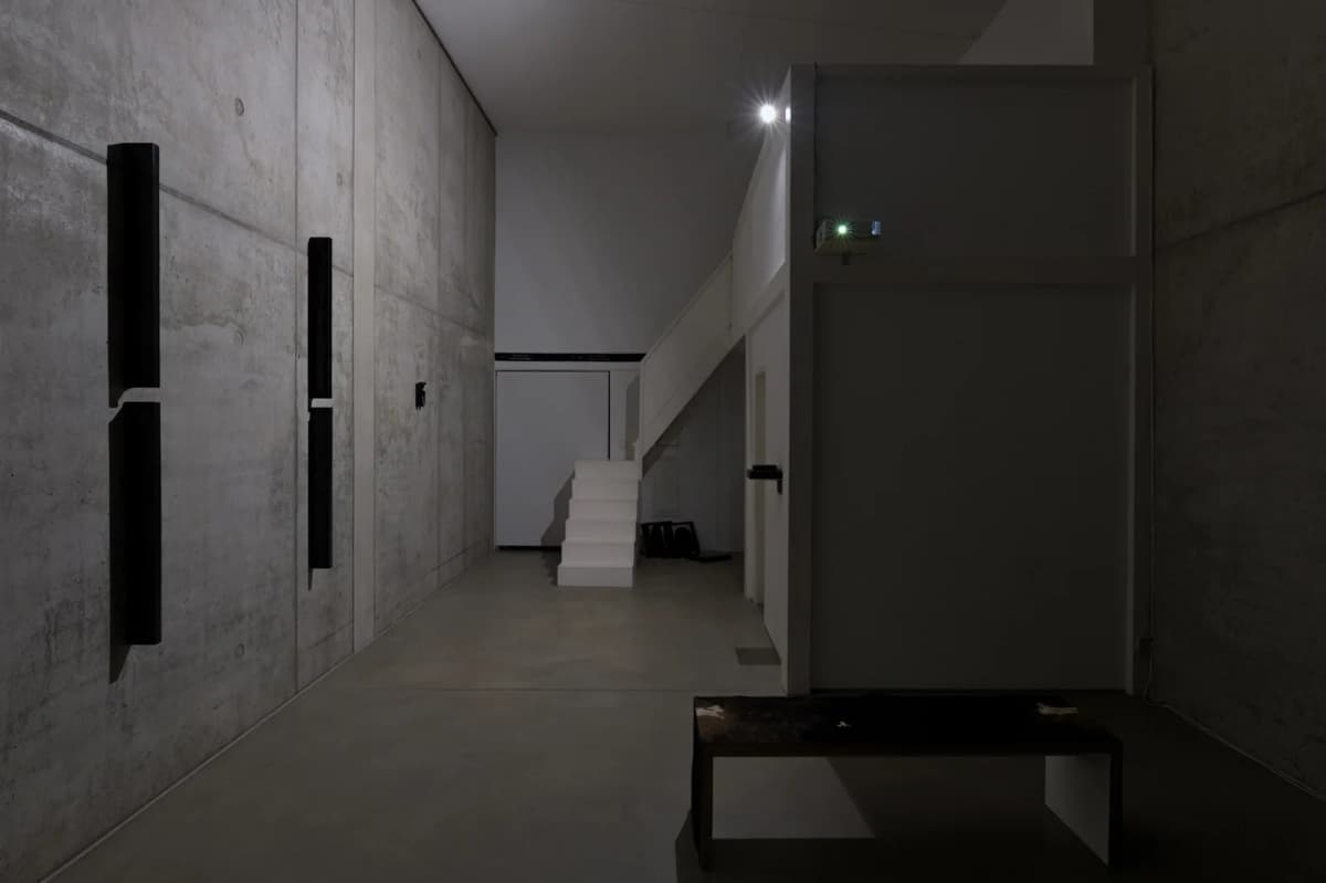 The Solemnity of the Repulsive installation view 6