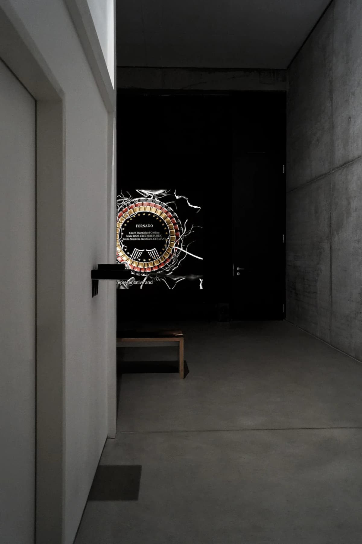 The Solemnity of the Repulsive installation view 8