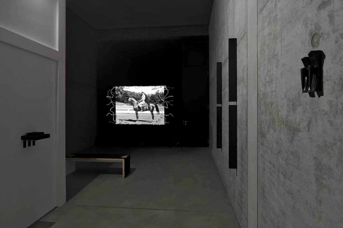 The Solemnity of the Repulsive installation view 9