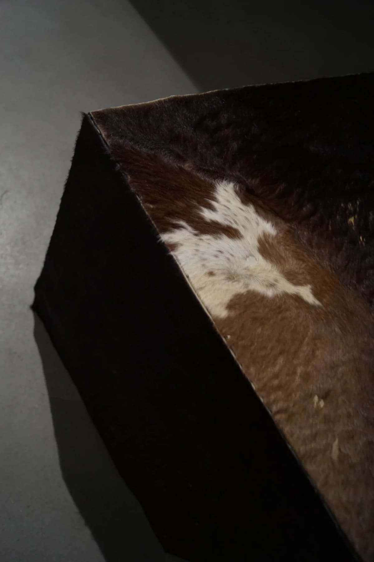 The Solemnity of the Repulsive installation view 10