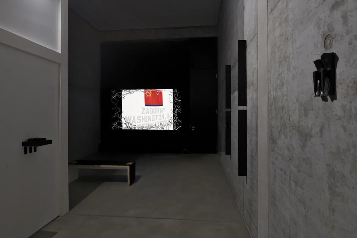The Solemnity of the Repulsive installation view 16
