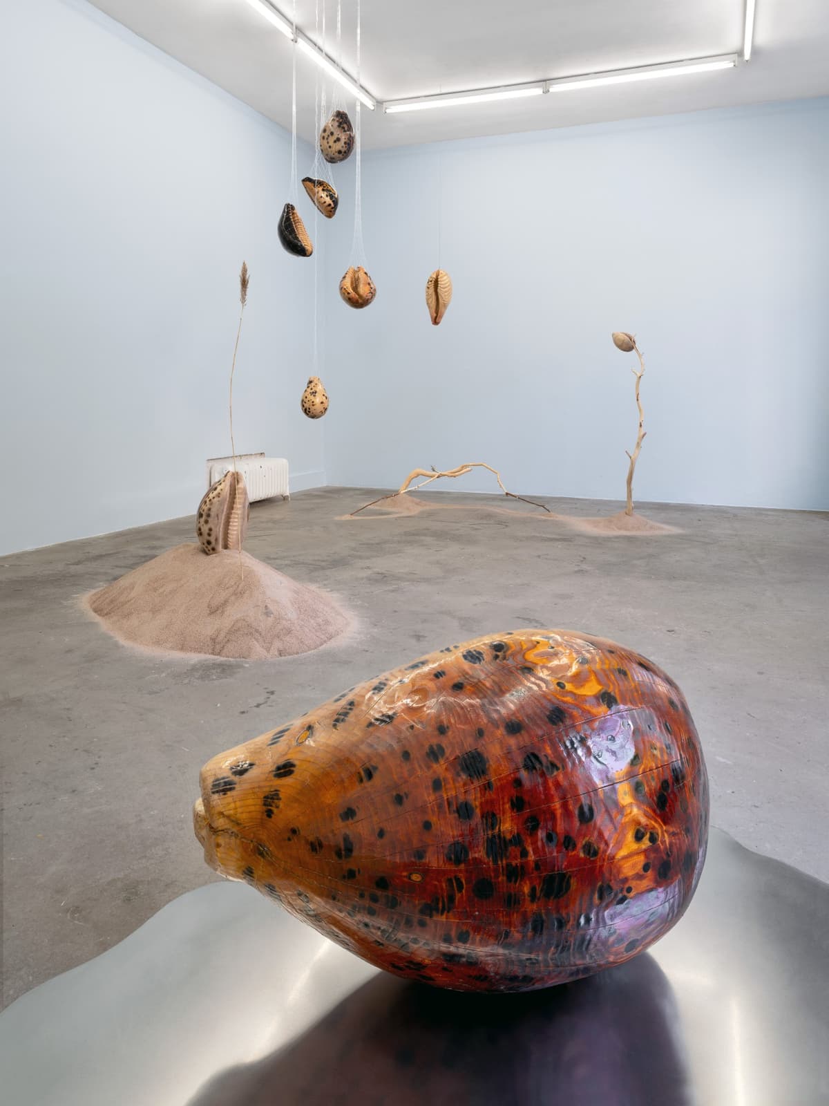 Tomorrow's Forecast, White Clouds Grey Dogs installation view