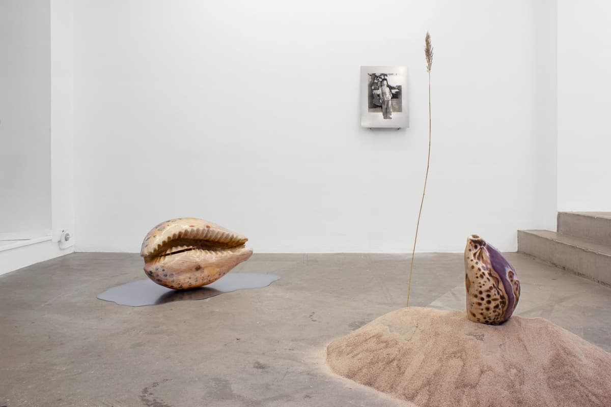 Tomorrow's Forecast, White Clouds Grey Dogs installation view 5