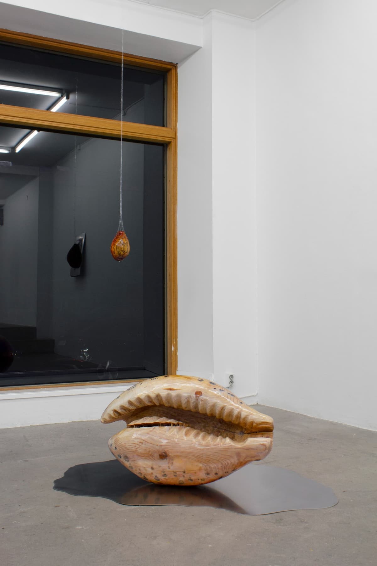 Tomorrow's Forecast, White Clouds Grey Dogs installation view 9