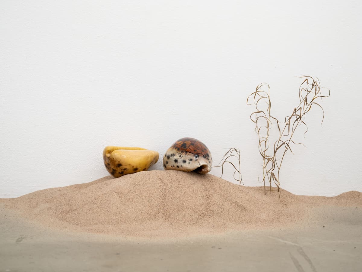 Tomorrow's Forecast, White Clouds Grey Dogs installation view 10