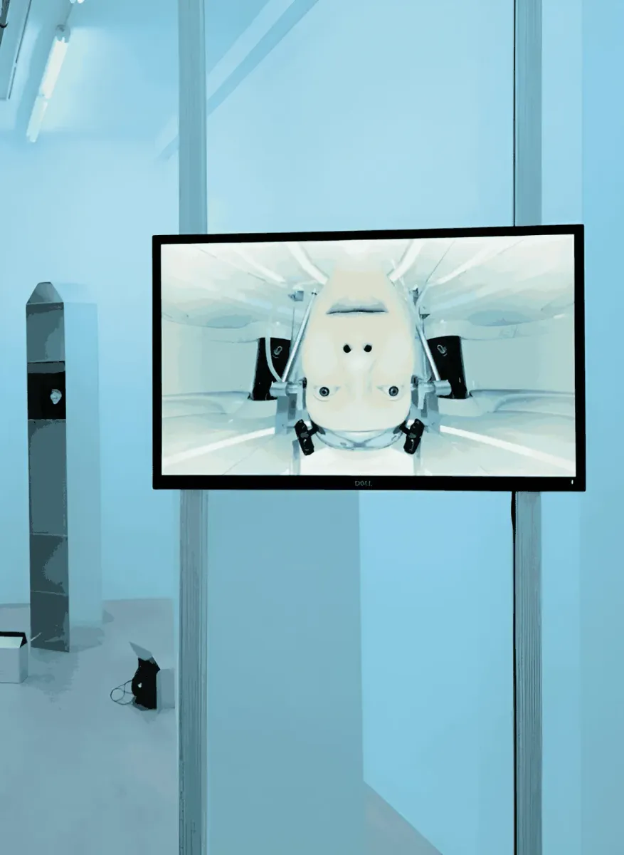 exuviae exhibition view