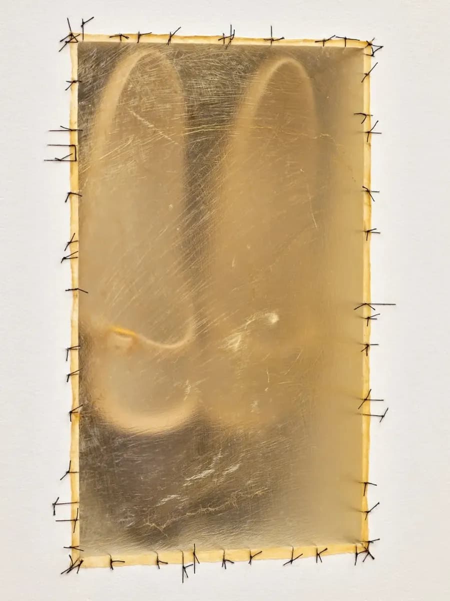 Doris Salcedo editorial portrait