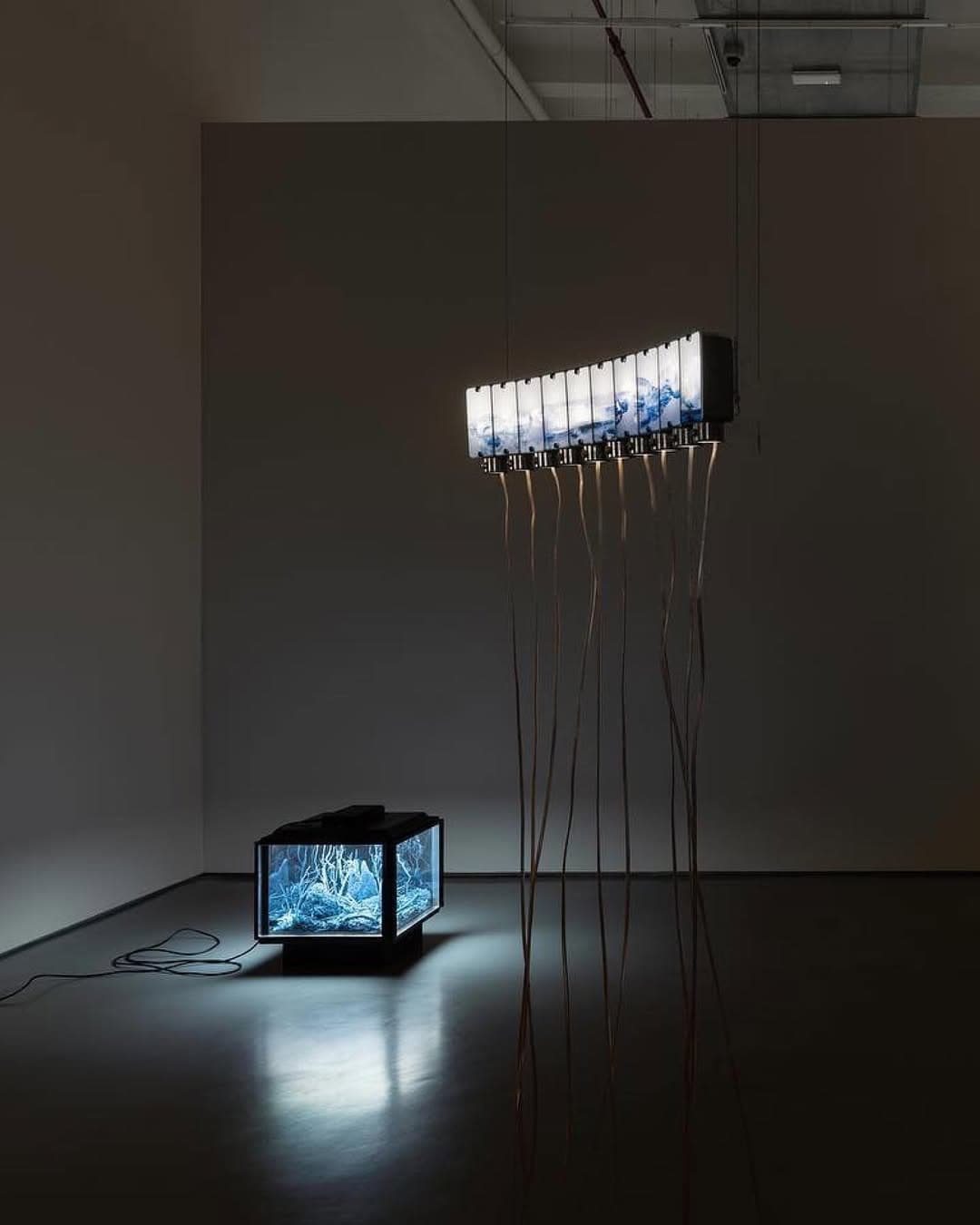 A CERTAIN INSTANCE OF VERRITION exhibition view