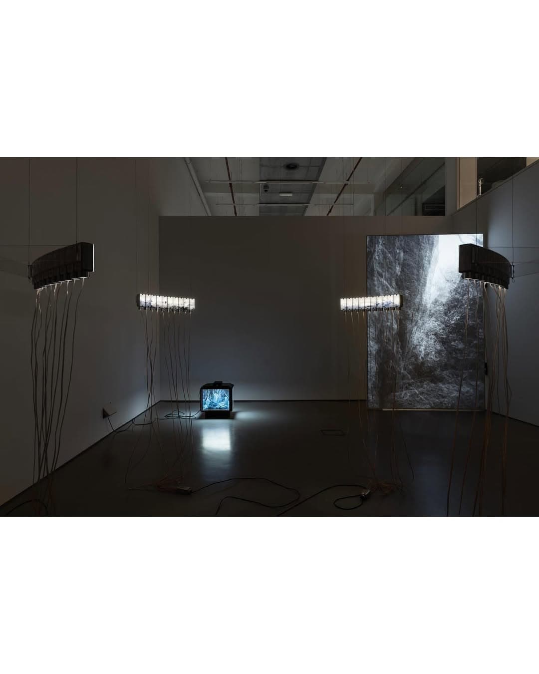 A CERTAIN INSTANCE OF VERRITION installation view 2