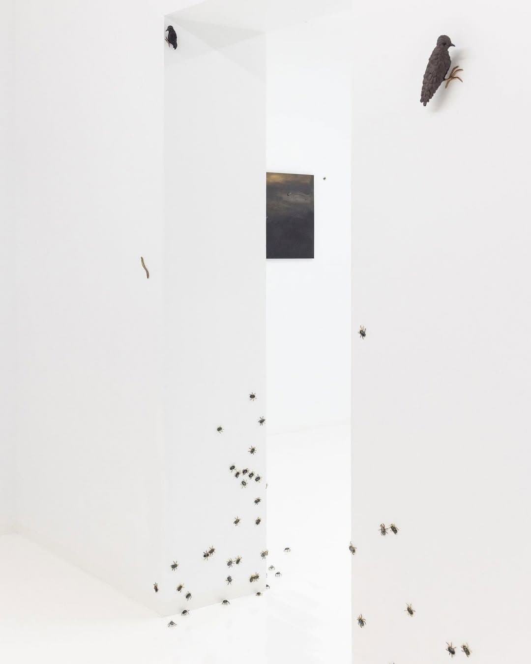CONTEMPT installation view 10