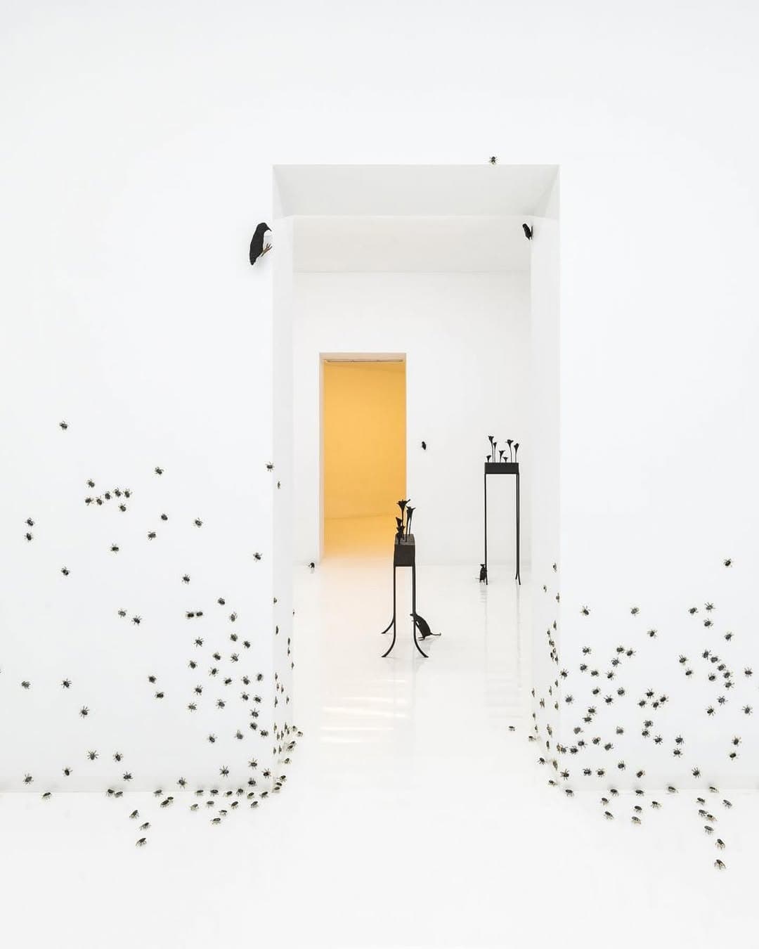 CONTEMPT exhibition view