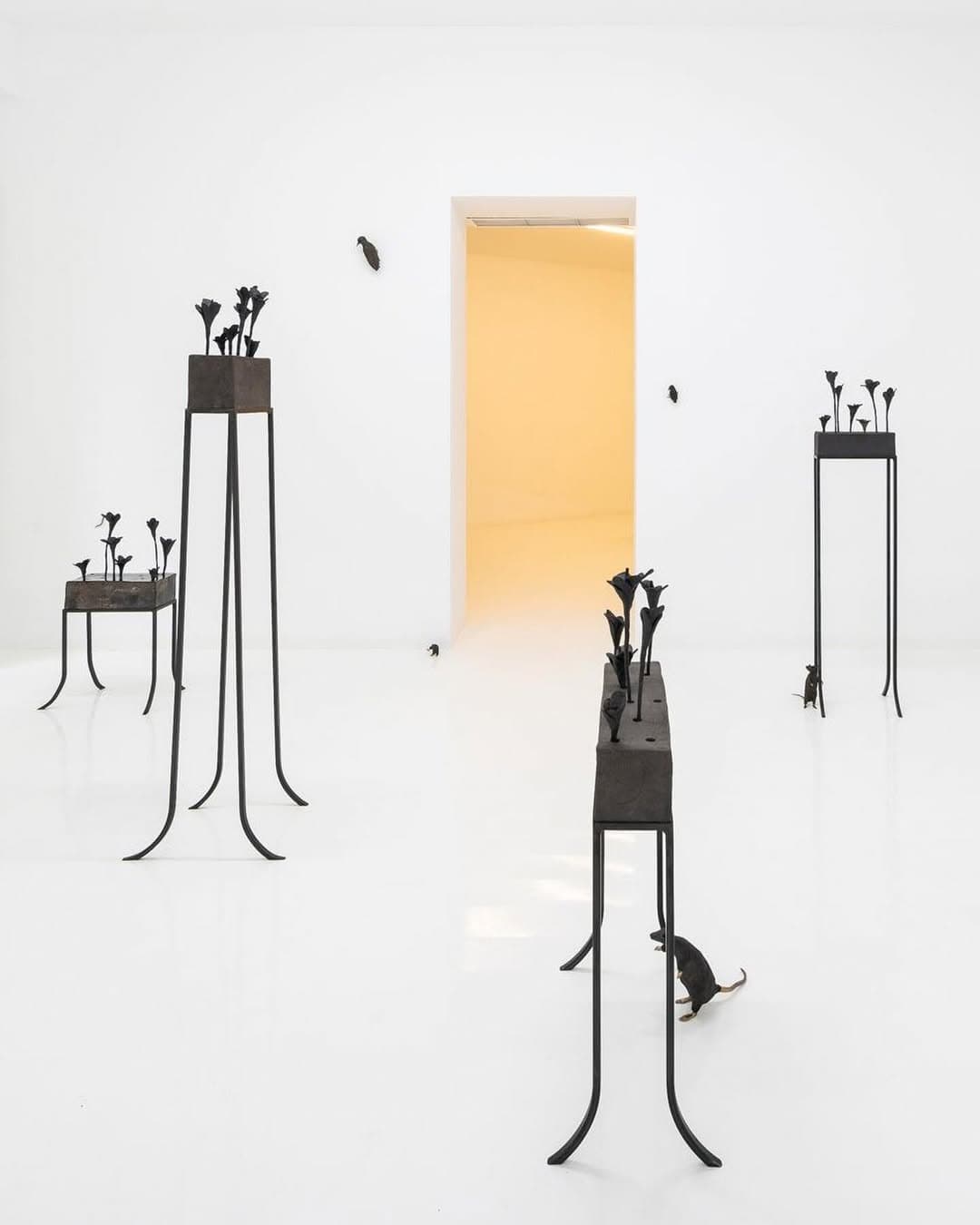 CONTEMPT installation view 3