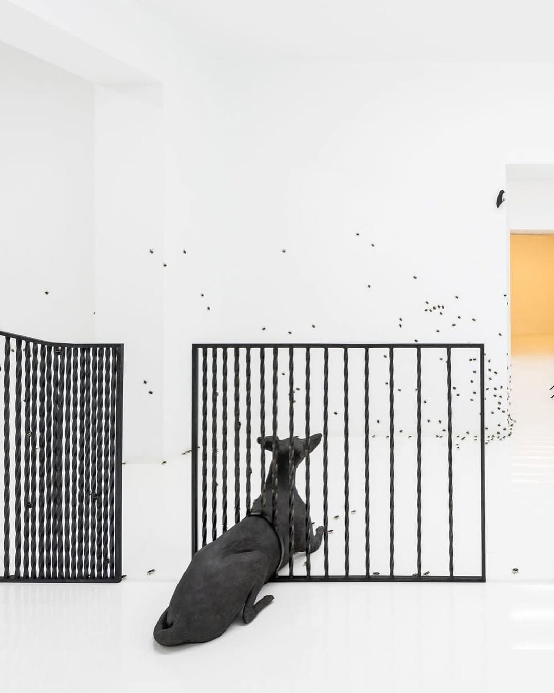 CONTEMPT installation view 4