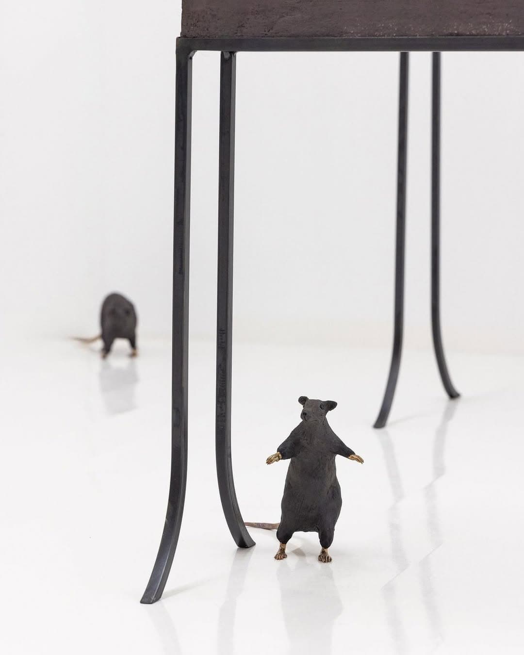 CONTEMPT installation view 6