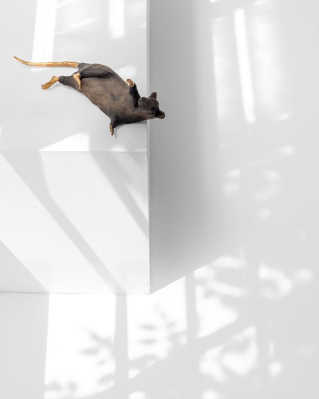 CONTEMPT installation view 9