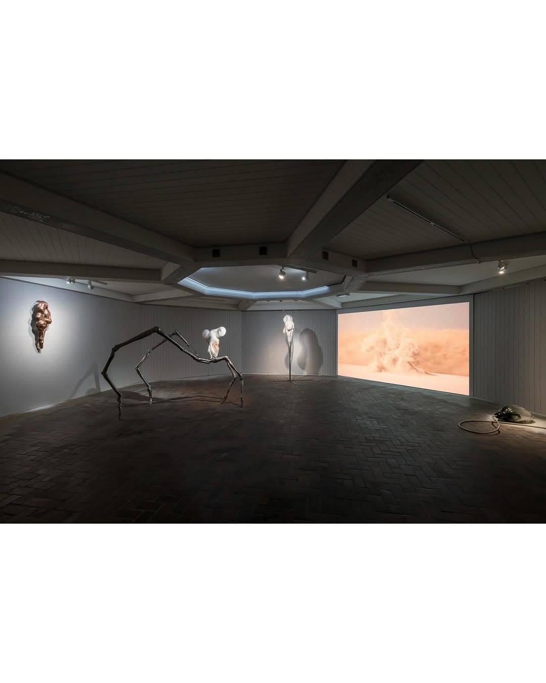 METEMPSYCHOSIS: THE PASSION OF PNEUMATICS installation view 8
