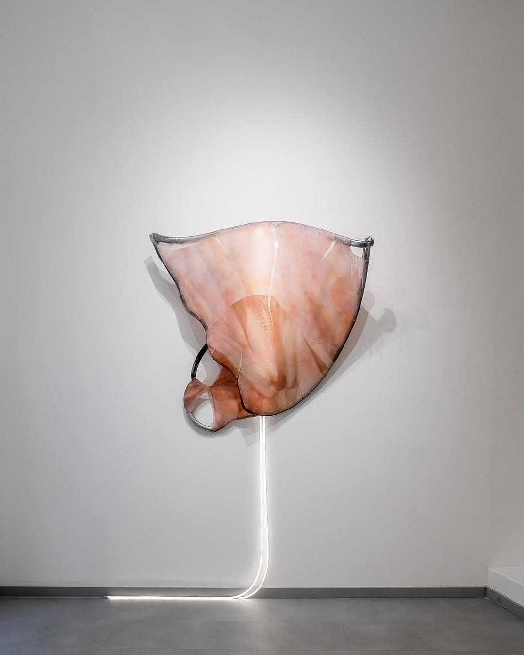 SKELETAL SCENES installation view 5